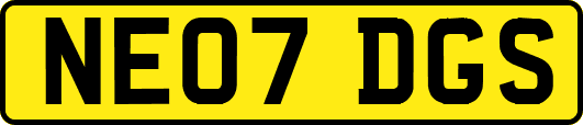 NE07DGS