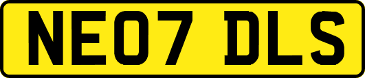 NE07DLS