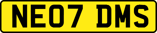 NE07DMS