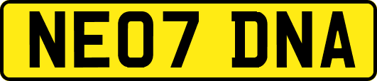 NE07DNA