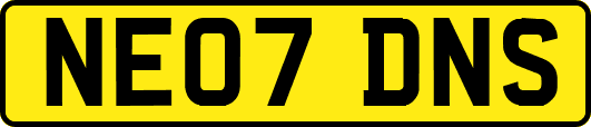 NE07DNS