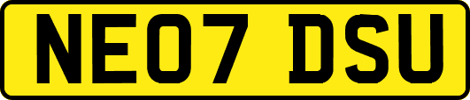 NE07DSU