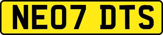 NE07DTS