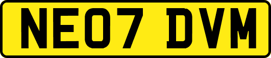 NE07DVM