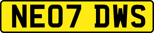 NE07DWS