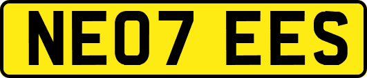 NE07EES