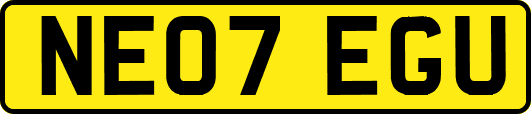 NE07EGU