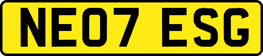 NE07ESG