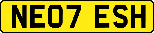 NE07ESH