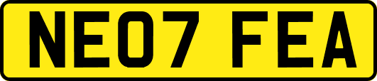 NE07FEA