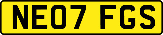 NE07FGS