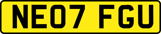 NE07FGU