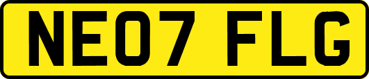 NE07FLG