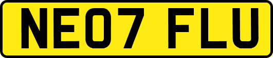 NE07FLU