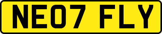 NE07FLY