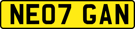 NE07GAN