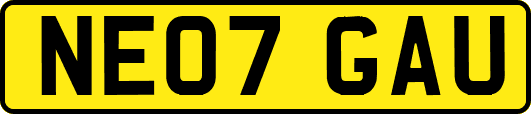 NE07GAU