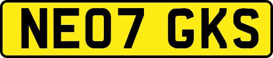 NE07GKS