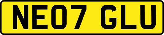 NE07GLU