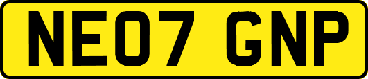 NE07GNP