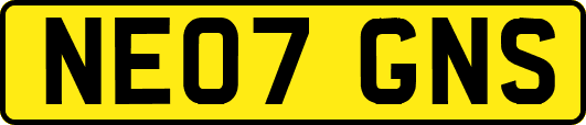 NE07GNS