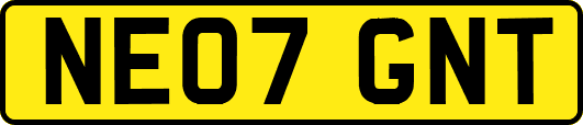 NE07GNT