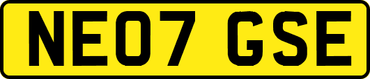 NE07GSE