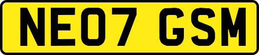 NE07GSM