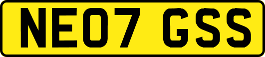 NE07GSS