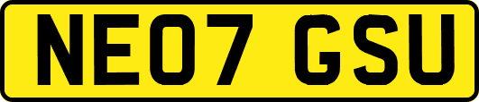 NE07GSU