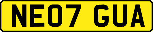 NE07GUA