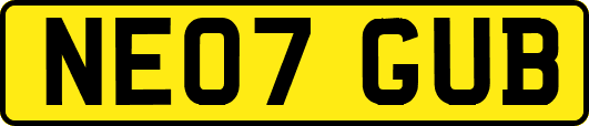 NE07GUB