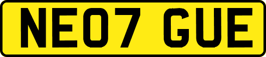 NE07GUE