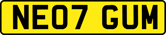 NE07GUM