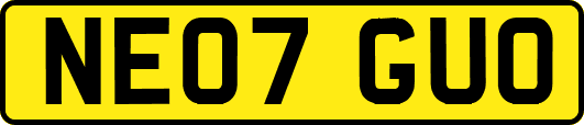 NE07GUO