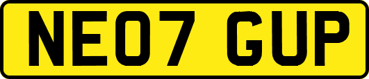NE07GUP