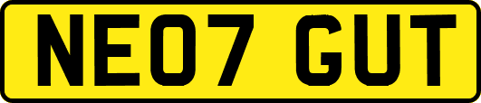 NE07GUT