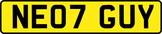 NE07GUY