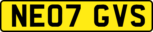 NE07GVS
