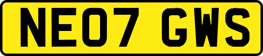 NE07GWS