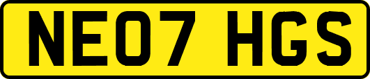 NE07HGS