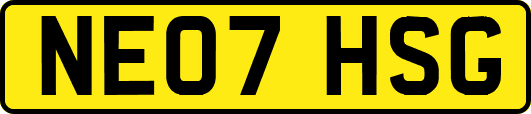 NE07HSG