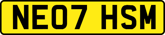 NE07HSM