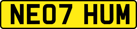 NE07HUM