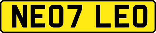 NE07LEO