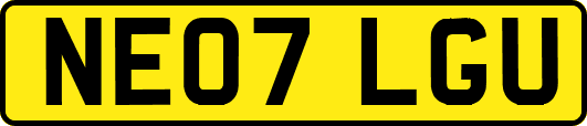 NE07LGU