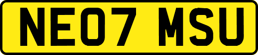 NE07MSU