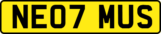 NE07MUS
