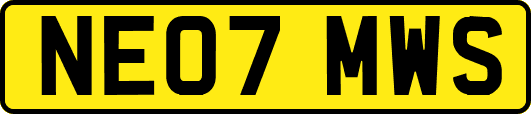 NE07MWS