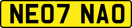 NE07NAO